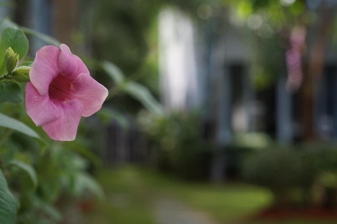 Phu Quoc Hotel Dış mekan fotoğraf